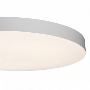 Накладной светильник Sonex Gamma 7759/24L в Новоуральске - novouralsk.ok-mebel.com | фото 7