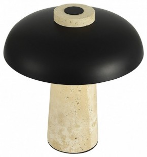 Настольная лампа декоративная ST-Luce Earthy SL1194.424.01 в Новоуральске - novouralsk.ok-mebel.com | фото 5