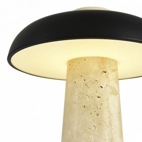 Настольная лампа декоративная ST-Luce Earthy SL1194.424.01 в Новоуральске - novouralsk.ok-mebel.com | фото 6