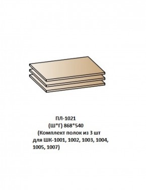 ПЛ-1021 (Комплект полок из 3 шт для ШК-1001, 1002, 1003, 1004, 1005, 1007) в Новоуральске - novouralsk.ok-mebel.com | фото