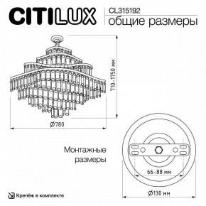 Подвесная люстра Citilux Naiad CL315192 в Новоуральске - novouralsk.ok-mebel.com | фото 6
