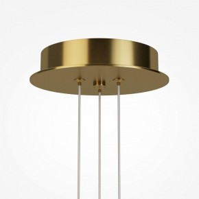 Подвесная люстра Maytoni Arana MOD401PL-L108BS3K в Новоуральске - novouralsk.ok-mebel.com | фото 7
