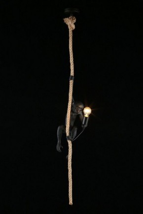 Подвесной светильник Aployt Magali APL.309.16.01 в Новоуральске - novouralsk.ok-mebel.com | фото 3