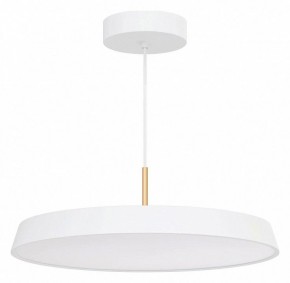 Подвесной светильник Arlight ELEGANT 033925(1) в Новоуральске - novouralsk.ok-mebel.com | фото 2
