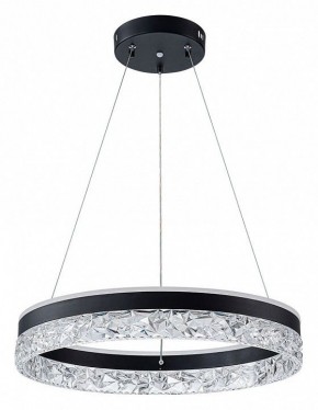 Подвесной светильник Arte Lamp Apollo A2549SP-75BK в Новоуральске - novouralsk.ok-mebel.com | фото 2
