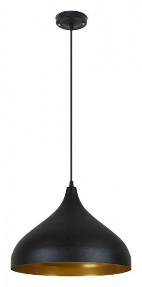 Подвесной светильник Arte Lamp Carmel A7076SP-1BK в Новоуральске - novouralsk.ok-mebel.com | фото 2