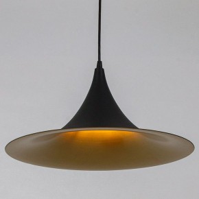 Подвесной светильник Arte Lamp Carmel A7080SP-1BK в Новоуральске - novouralsk.ok-mebel.com | фото