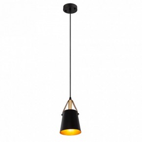 Подвесной светильник Arte Lamp Thomas A7032SP-1BK в Новоуральске - novouralsk.ok-mebel.com | фото 3