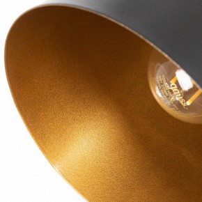 Подвесной светильник Arte Lamp Thomas A7032SP-1BK в Новоуральске - novouralsk.ok-mebel.com | фото 5