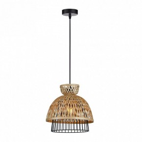 Подвесной светильник Arte Lamp Woodstock A7070SP-1BK в Новоуральске - novouralsk.ok-mebel.com | фото