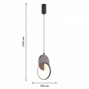 Подвесной светильник F-promo Grahan 4609-1P в Новоуральске - novouralsk.ok-mebel.com | фото 4