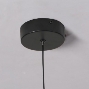 Подвесной светильник Favourite Wilet 4656-1P в Новоуральске - novouralsk.ok-mebel.com | фото 10