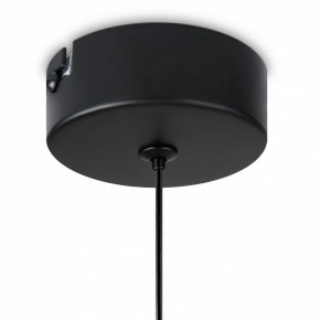 Подвесной светильник Freya Idol FR6134PL-L4SM в Новоуральске - novouralsk.ok-mebel.com | фото 8