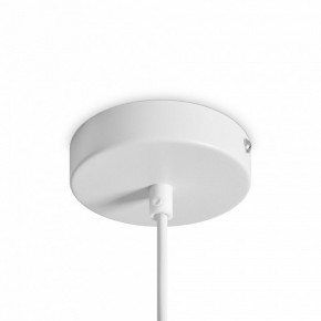 Подвесной светильник Freya Shapes FR5530PL-L10W в Новоуральске - novouralsk.ok-mebel.com | фото 5