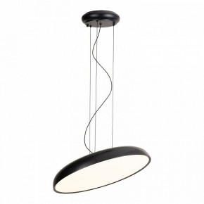 Подвесной светильник Lussole Crook LSP-7360 в Новоуральске - novouralsk.ok-mebel.com | фото 2