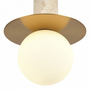 Подвесной светильник ST-Luce Earthy SL1194.303.01 в Новоуральске - novouralsk.ok-mebel.com | фото 5