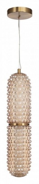 Подвесной светильник ST-Luce SAGUARO SL6144.303.01 в Новоуральске - novouralsk.ok-mebel.com | фото 3