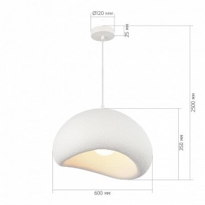 Подвесной светильник ST-Luce WABI SABI SL1522.513.01 в Новоуральске - novouralsk.ok-mebel.com | фото 5
