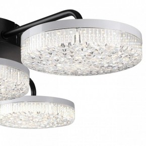 Потолочная люстра Lumion Didana 8236/4CL в Новоуральске - novouralsk.ok-mebel.com | фото 7
