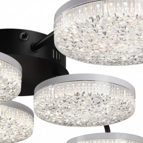 Потолочная люстра Lumion Didana 8236/6CL в Новоуральске - novouralsk.ok-mebel.com | фото 9