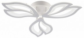 Потолочная люстра Natali Kovaltseva FORTUNA LED LAMPS 81107/2C в Новоуральске - novouralsk.ok-mebel.com | фото