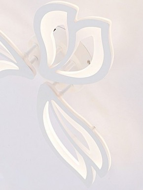 Потолочная люстра Natali Kovaltseva FORTUNA LED LAMPS 81107/2C в Новоуральске - novouralsk.ok-mebel.com | фото 11
