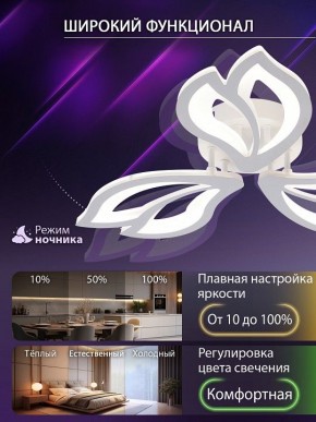 Потолочная люстра Natali Kovaltseva FORTUNA LED LAMPS 81107/2C в Новоуральске - novouralsk.ok-mebel.com | фото 5
