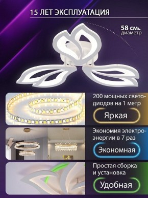Потолочная люстра Natali Kovaltseva FORTUNA LED LAMPS 81107/2C в Новоуральске - novouralsk.ok-mebel.com | фото 6