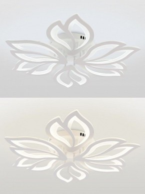 Потолочная люстра Natali Kovaltseva FORTUNA LED LAMPS 81107/6C в Новоуральске - novouralsk.ok-mebel.com | фото 4