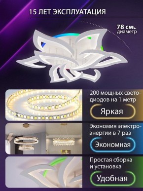 Потолочная люстра Natali Kovaltseva OLIMP LED LAMPS 81435 в Новоуральске - novouralsk.ok-mebel.com | фото 5
