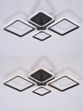 Потолочная люстра Natali Kovaltseva OPTI LED LAMPS 81108/2C в Новоуральске - novouralsk.ok-mebel.com | фото 4
