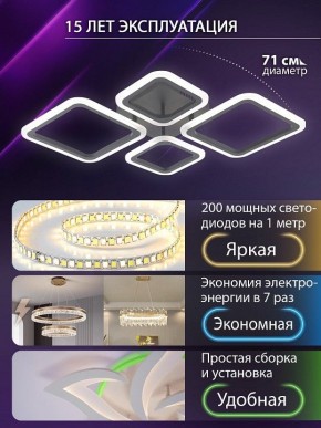 Потолочная люстра Natali Kovaltseva OPTI LED LAMPS 81108/2C в Новоуральске - novouralsk.ok-mebel.com | фото 5
