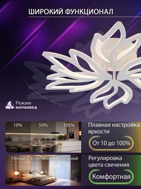Потолочная люстра Natali Kovaltseva RIF LED LAMPS 81118/5C в Новоуральске - novouralsk.ok-mebel.com | фото 6