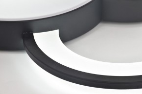 Потолочная люстра Rivoli Aliona Б0066452 в Новоуральске - novouralsk.ok-mebel.com | фото 10