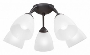Потолочная люстра Vitaluce V3184 V3737-2/5PL в Новоуральске - novouralsk.ok-mebel.com | фото