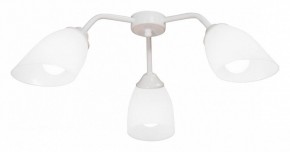 Потолочная люстра Vitaluce V31950 V31950/3PL в Новоуральске - novouralsk.ok-mebel.com | фото