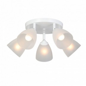 Потолочная люстра Vitaluce V4355 V4355-0/5PL в Новоуральске - novouralsk.ok-mebel.com | фото 2