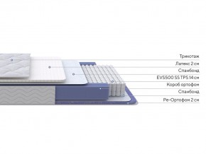 PROxSON Матрас Active Duo S/F (Ткань Трикотаж Эко) 160x190 в Новоуральске - novouralsk.ok-mebel.com | фото 3