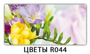 Раздвижной СТ Бриз орхидея R041 Доска D110 в Новоуральске - novouralsk.ok-mebel.com | фото 12