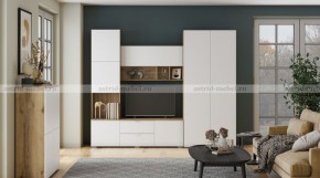 МИЛАН-1 Секция ТВ (ЦРК.МЛН.01 секция ТВ) в Новоуральске - novouralsk.ok-mebel.com | фото 3