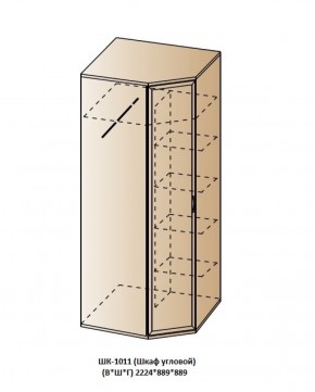 ШК-1011 (Шкаф угловой) в Новоуральске - novouralsk.ok-mebel.com | фото
