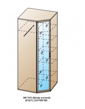 ШК-1012 (Шкаф угловой) в Новоуральске - novouralsk.ok-mebel.com | фото