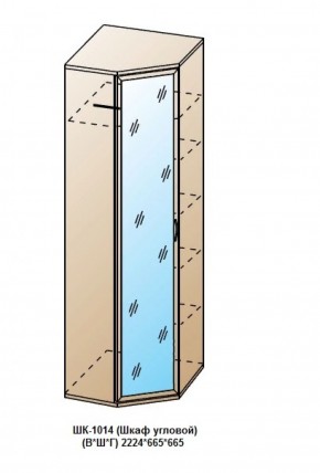ШК-1014 (Шкаф угловой) в Новоуральске - novouralsk.ok-mebel.com | фото