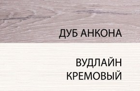 Шкаф 1DZ, OLIVIA, цвет вудлайн крем/дуб анкона в Новоуральске - novouralsk.ok-mebel.com | фото 3
