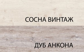 Шкаф 2D1SL, MONAKO, цвет Сосна винтаж/дуб анкона в Новоуральске - novouralsk.ok-mebel.com | фото