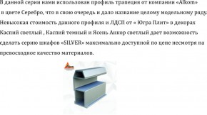 Шкаф-купе 1300 серии SILVER S1+S1+B2+PL2 (2 ящика+1 штанга+1 полка) профиль «Серебро» в Новоуральске - novouralsk.ok-mebel.com | фото 4