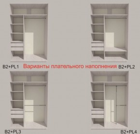 Шкаф-купе 1300 серии SILVER S1+S1+B2+PL2 (2 ящика+1 штанга+1 полка) профиль «Серебро» в Новоуральске - novouralsk.ok-mebel.com | фото 6