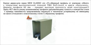 Шкаф-купе 1500 серии NEW CLASSIC K2+K2+B2+PL2(2 ящика+1 штанга+1 полка) профиль «Капучино» в Новоуральске - novouralsk.ok-mebel.com | фото 17