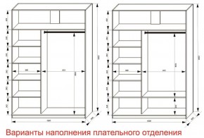 Шкаф-купе 1600 серии SOFT D6+D4+B2+PL2 (2 ящика+1штанга+1 полка) профиль «Капучино» в Новоуральске - novouralsk.ok-mebel.com | фото 8