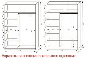 Шкаф-купе 1600 серии SOFT D6+D6+B2+PL3 (2 ящика+2штанги) профиль «Капучино» в Новоуральске - novouralsk.ok-mebel.com | фото 8